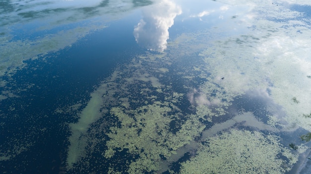 L’Oceano Australe assorbe il 25% di CO2 in più rispetto alle previsioni passate