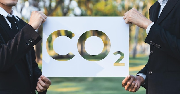 Gruppo industriale avverte: normative sulla purezza del carbonio potrebbero ostacolare obiettivi europei di cattura CO2