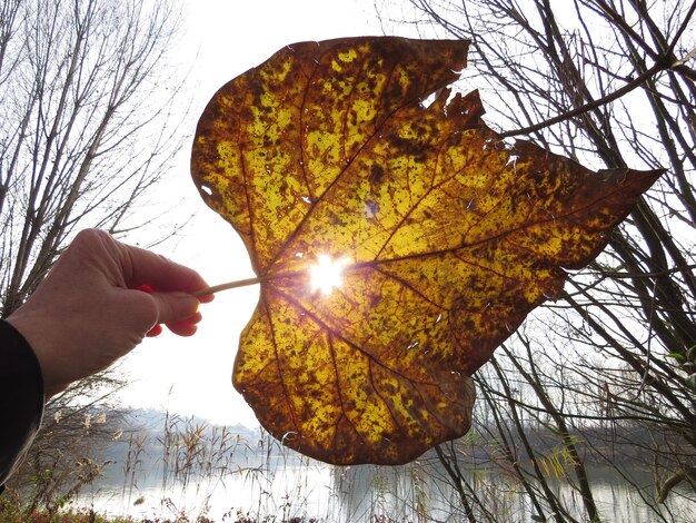 Cambio di tendenza meteo: l’Autunno cambia direzione, vediamo quali regioni saranno interessate