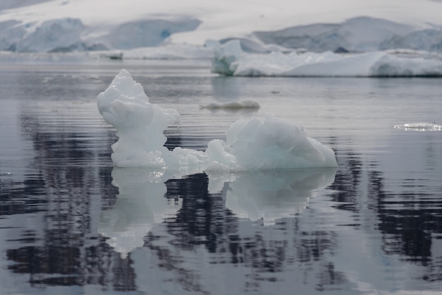 La verità sul rischio di un “gelo siberiano” nel prossimo inverno