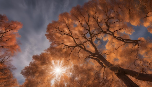 Meteo: arriva l’Equinozio d’Autunno ma il caldo ritornerà!