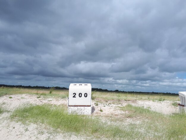 Meteo: Ritorneremo a 35°C? Ultimi aggiornamenti