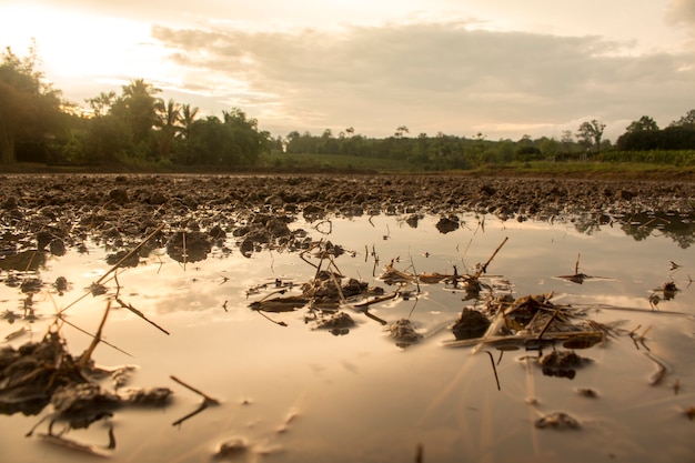 Impatto delle emissioni dei laghi sodici del Pantanal brasiliano sul cambiamento climatico