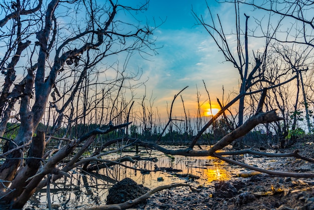 Possibili fenomeni meteorologici estremi tra ottobre e novembre a causa del contrasto tra calore residuo e freddo nordico