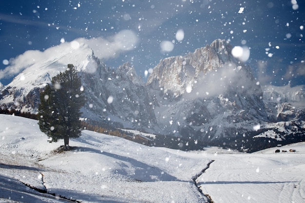 Meteo: Italia coperta di neve come mai prima, freddo intenso e forti nevicate