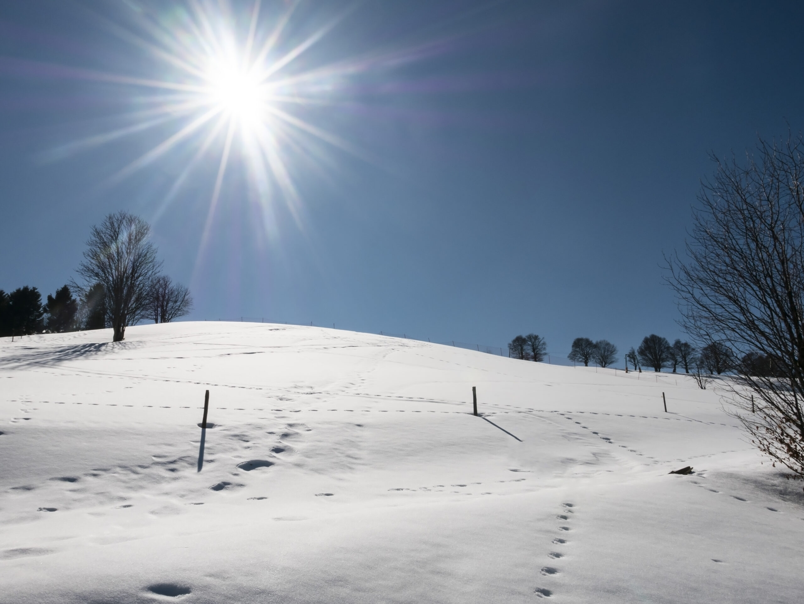 molta-neve-solo-in-alta-quota,-meteo-ottobrino-anomalo