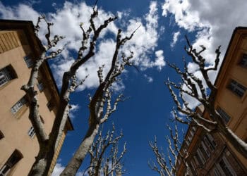 15474179 - Meteo: Italia ed Europa al caldo, in attesa di cambiamento