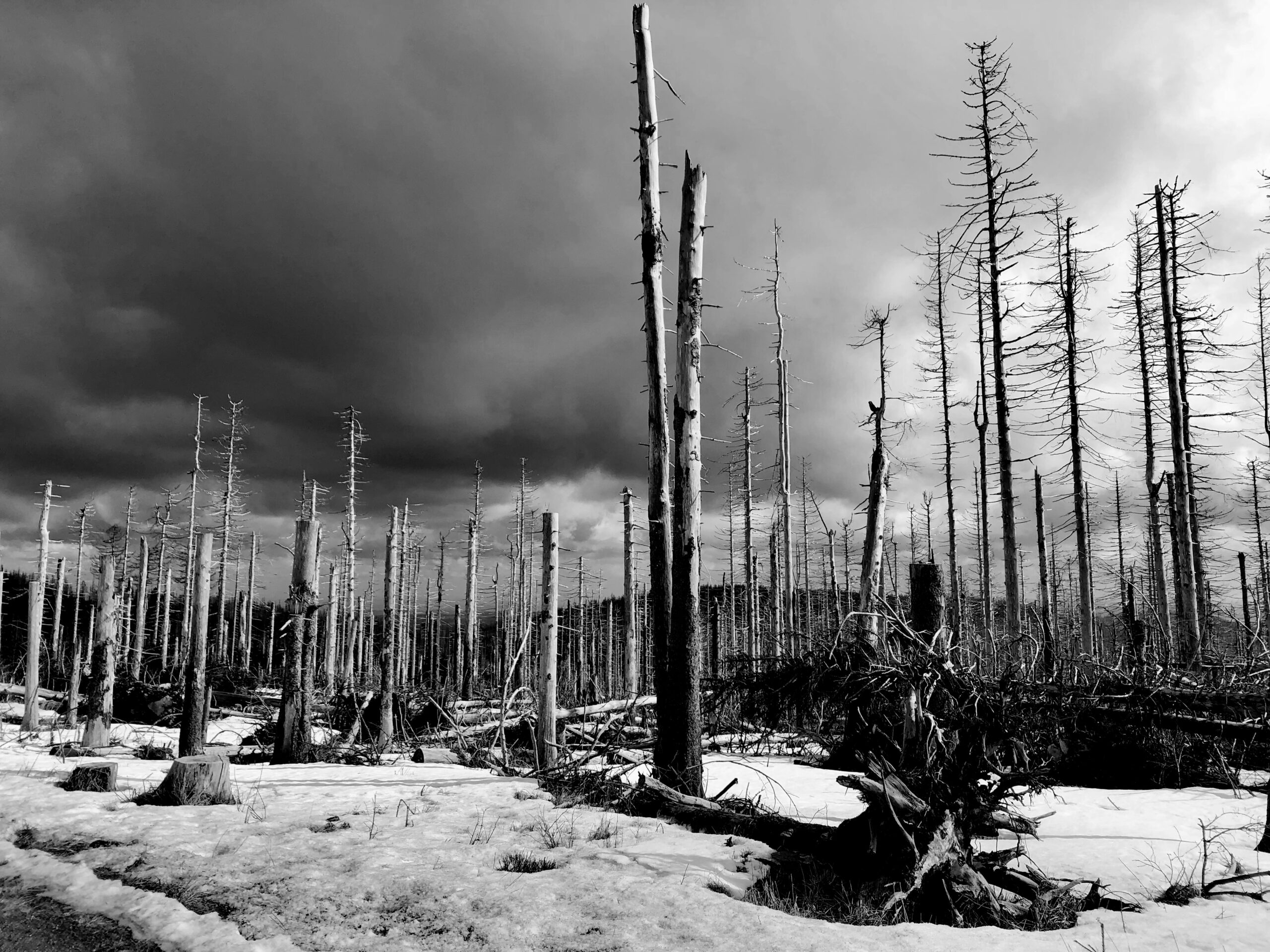 Meteo, previsioni di un inverno nucleare dopo la Terza Guerra Mondiale