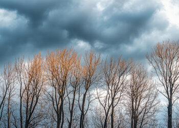 Eerie Sky Through Bare Trees - L’alta pressione potrebbe durare molto, ecco le ultime notizie