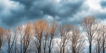 Eerie Sky Through Bare Trees - DIRETTA METEO, News Meteo, Previsioni Meteo, Viaggi