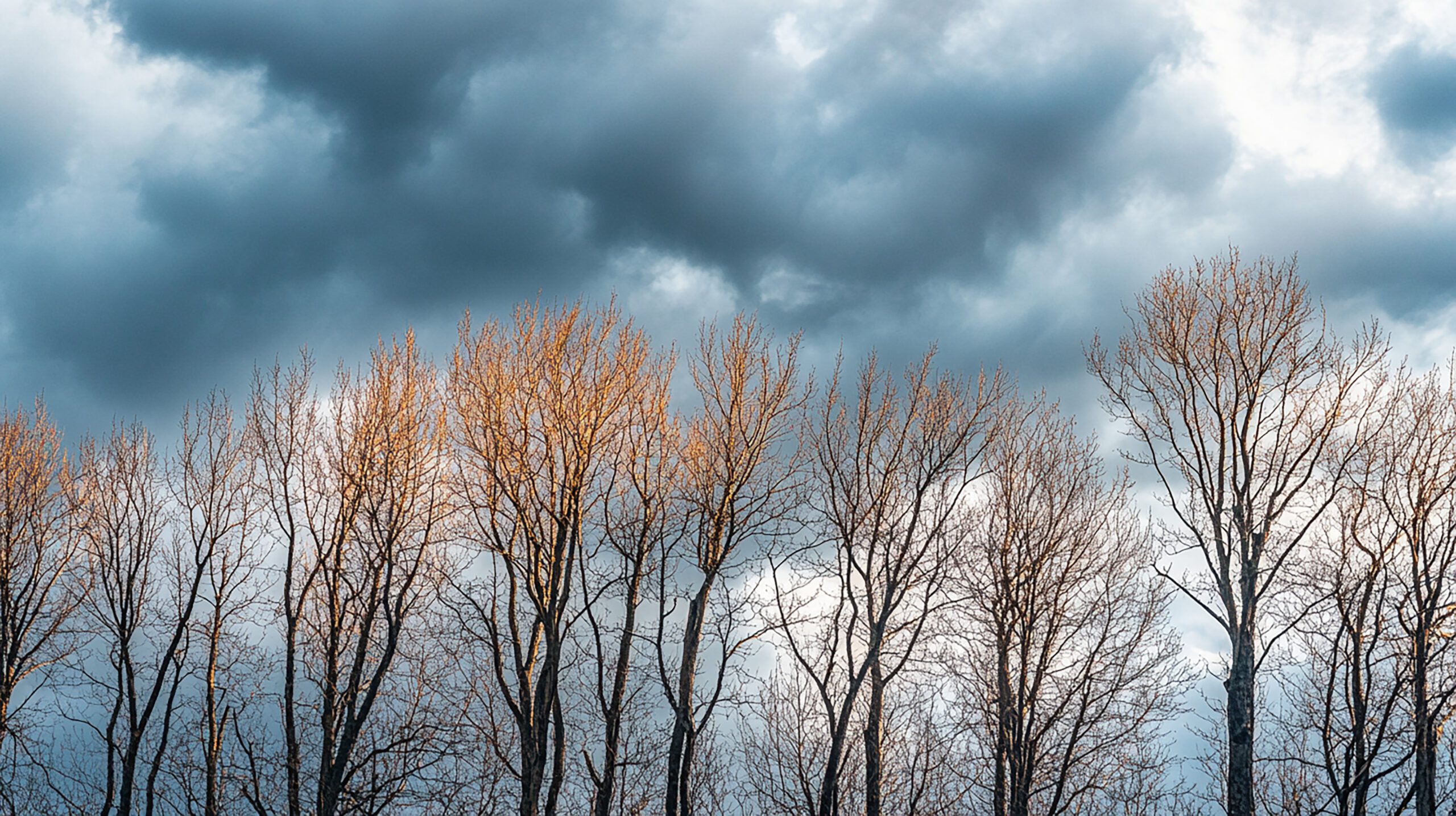 Previsioni meteo di inizio novembre: freddo scandinavo e maltempo