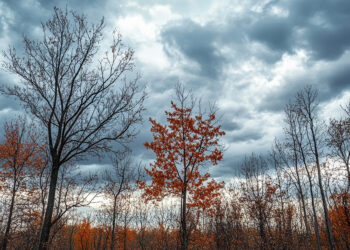 Eerie Sky Through Bare Trees - Previsioni meteo: lotta tra caldo e piogge nei prossimi giorni