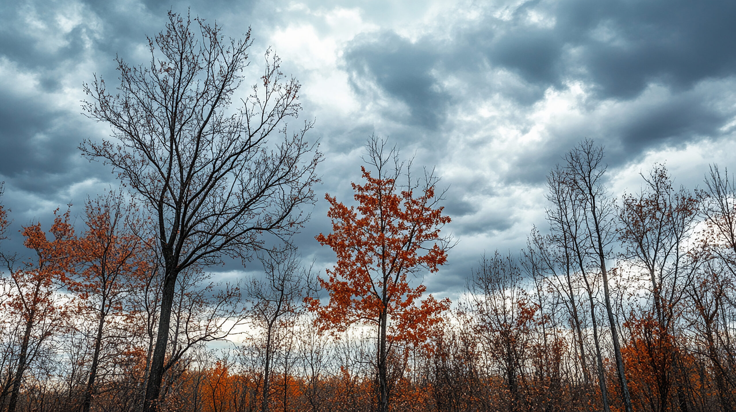 Meteo: Autunno instabile, dopo i temporali arriva il freddo polare