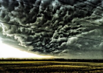 2245373 - Meteo: perché potrebbe ripresentarsi il gelo del 1956 e 1985