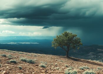 Lone Tree Under a Stormy Sky. - Nuove preoccupanti previsioni meteo per il Nord Italia