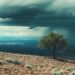 Lone Tree Under a Stormy Sky. - Arriva la neve: emozione e speranza per ogni appassionato di meteo