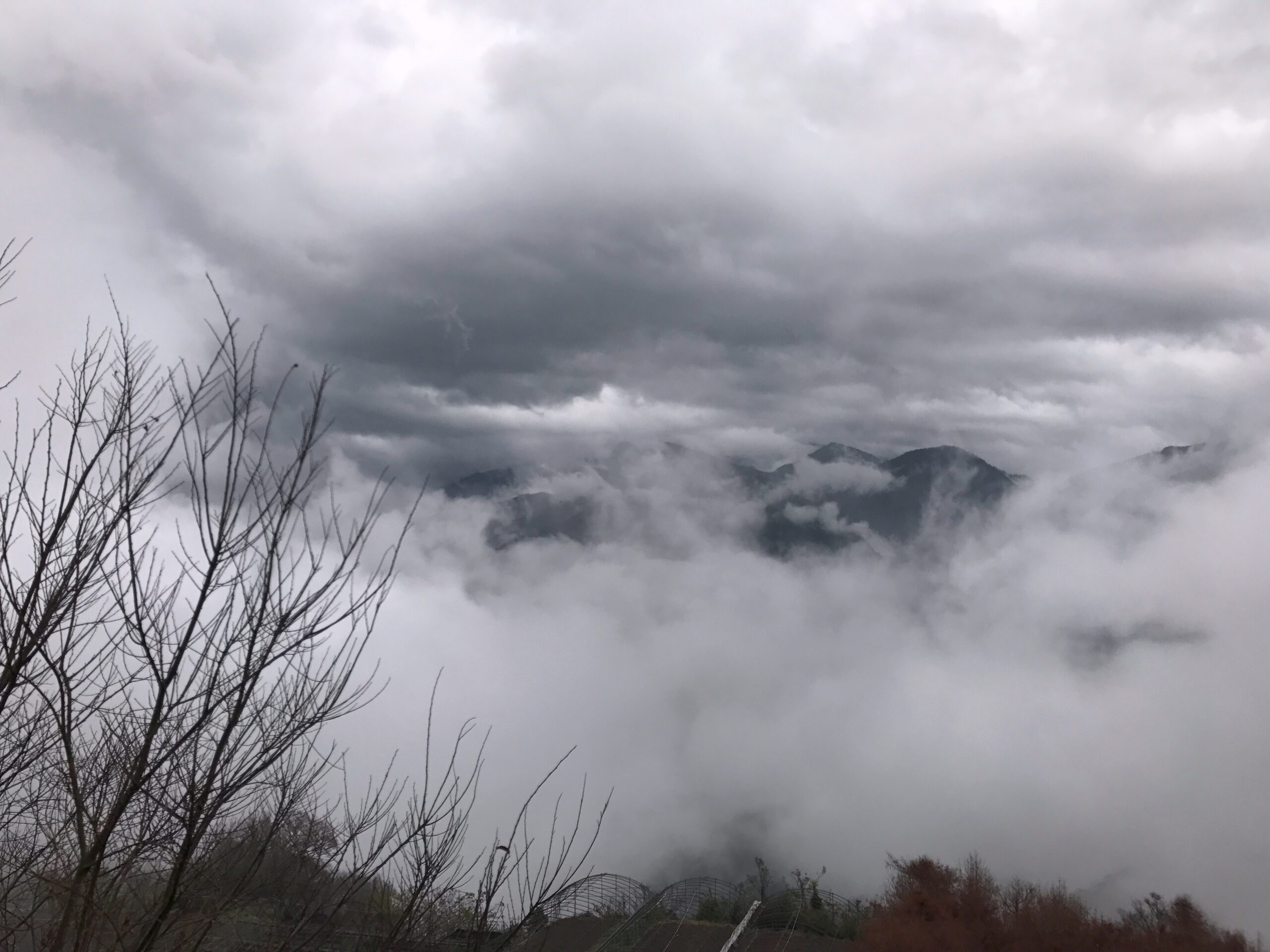 Meteo stabile ma non sottovalutare il pericolo delle nebbie