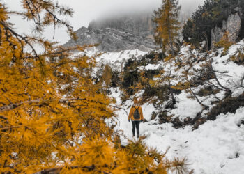 27846779 - Le ripercussioni della Niña sul meteo di dicembre-febbraio