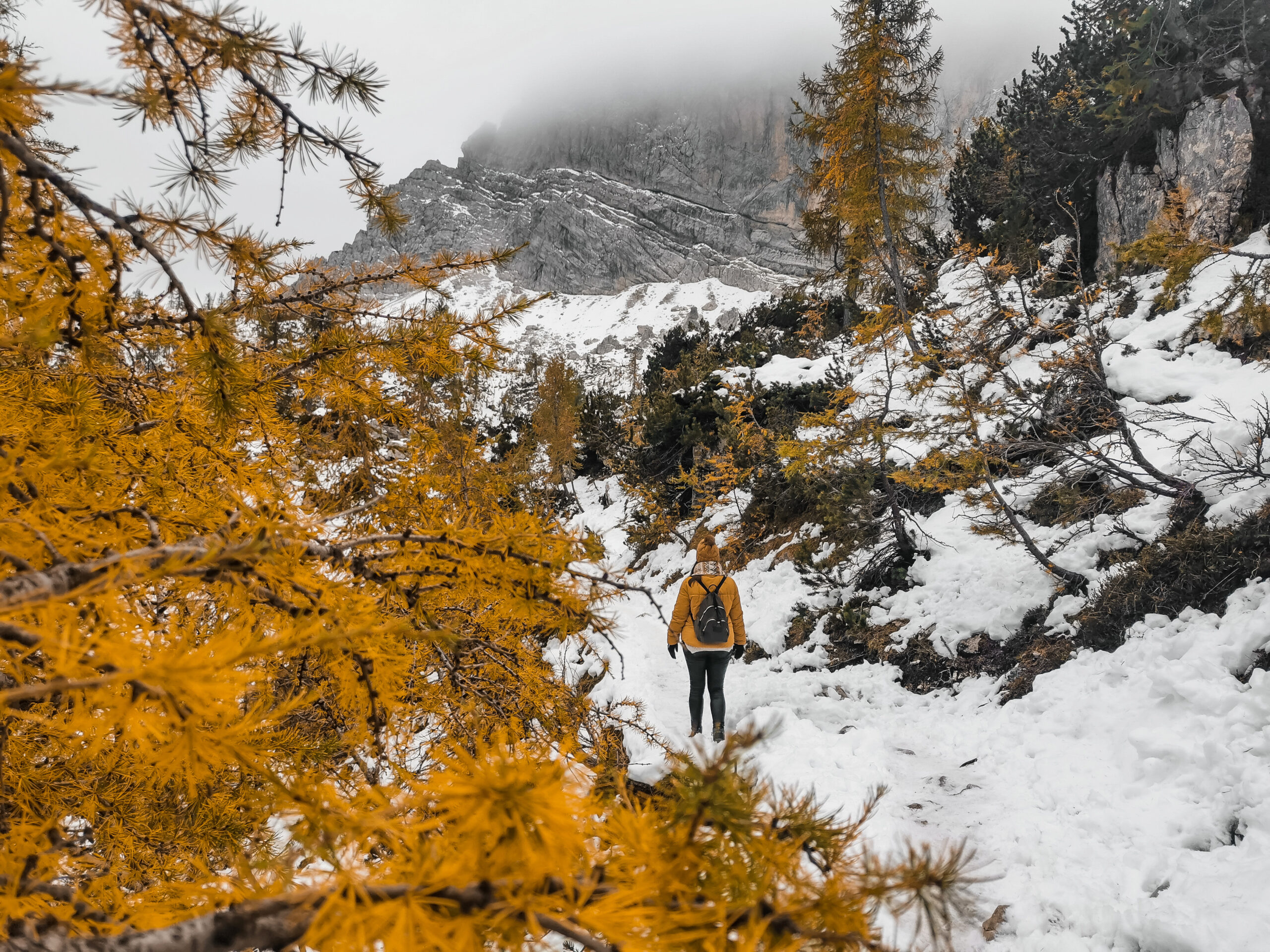 27846779 scaled - Caldo anomalo blocca le nevicate autunnali su Alpi e Appennini