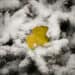 yellow leaf on the snow-covered branches of spruce - Onde di freddo storiche sull’Italia nel meteo di inizio novembre