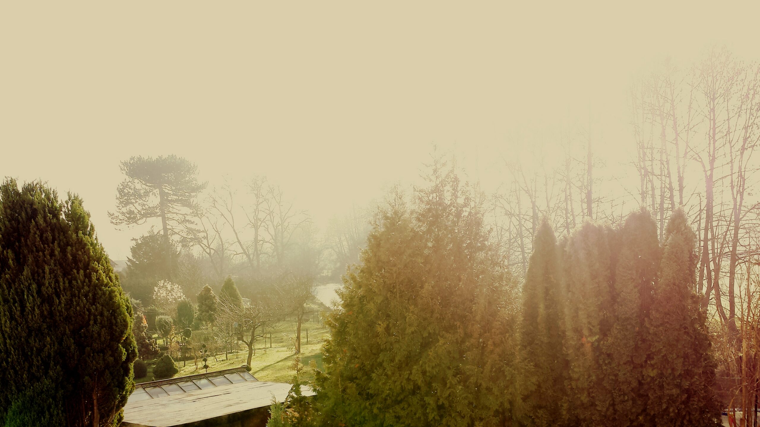 Meteo weekend: caldo anomalo, nebbia e aria di fine “estate