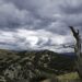 albero-morto-su-una-montagna-sotto-un-cielo-nuvoloso-spagna_181624-25745-1 - Meteo sud Italia: dall'estate alle piogge estreme in pochi giorni!