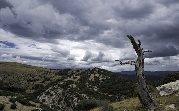 Previsioni meteo critiche per Liguria e alta Toscana, Nord e Centro Italia allagati