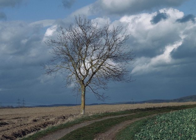 Clima ottobrino insolito, non siamo più abituati a queste condizioni meteorologiche