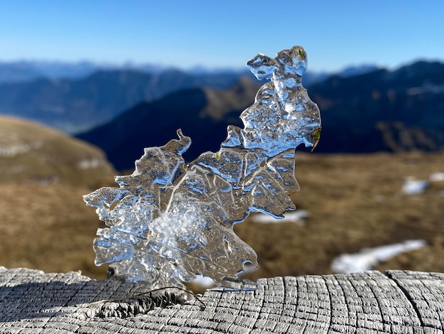 I ghiacciai svizzeri continuano a ritirarsi nonostante un buon inizio del 2024 e due anni successivi difficili