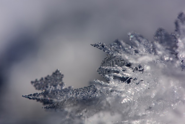 cristalli di ghiaccio congelati reali diverse formazioni sfondo invernale 74782 381 - Arriva il gelo: meteo invernale sconvolto da record di nevicate in Siberia