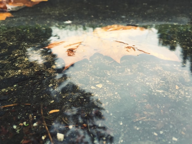 Rischi di alluvioni: pericoli nascosti per il clima e l’ecosistema fluviale nel dragaggio dei fiumi