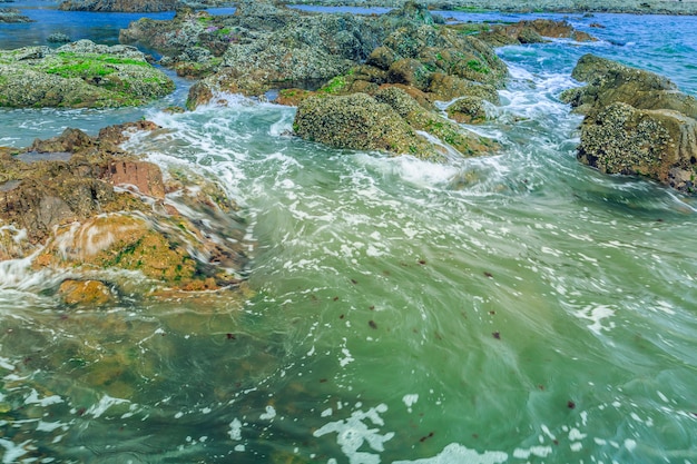 Rapide variazioni climatiche e fluviali e la metamorfosi del mare Adriatico