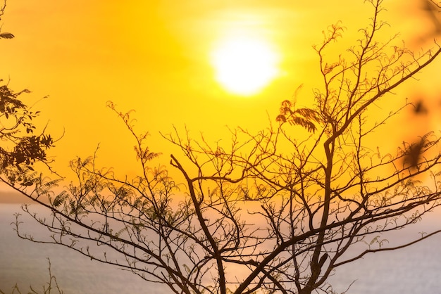 Meteo: 10 giorni di calore africano previsti in Ottobre