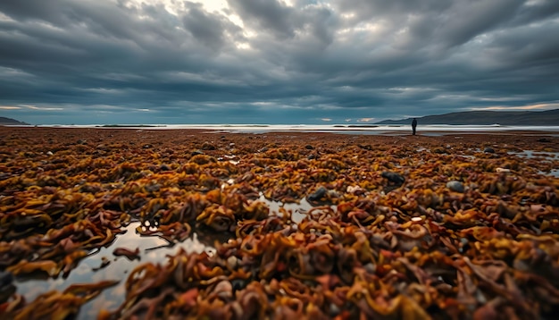 Meteo: è davvero Autunno? Quando potremo tornare al mare?