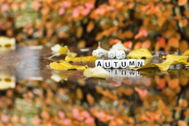 Addio Settembre: pro e contro del clima autunnale di questo mese