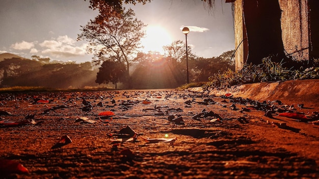 La mancanza dell’autunno nel sud è una tragedia meteorologica