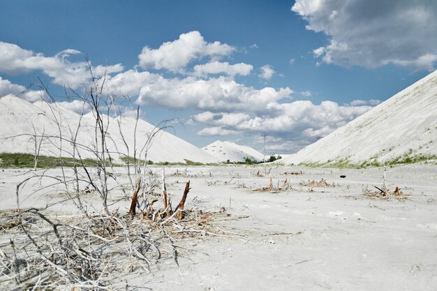 Fine della neve in pianura: verità sul cambiamento climatico negli inverni italiani