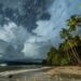 una-spiaggia-tropicale-con-palme-e-un-cielo-pieno-di-stelle_1282598-52663 - Meteo: fine settimana di sole e caldo in Italia grazie all'Anticiclone Africano