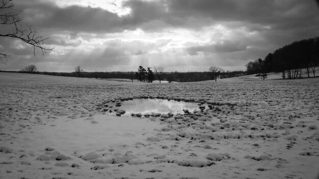 Possibilità di nevicate in pianura e sulle coste nei prossimi mesi?