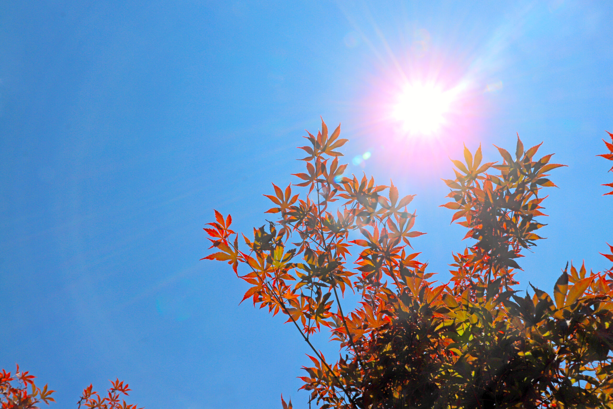 10271619 scaled - Meteo, caldo autunnale: dove si raggiungeranno i 23 gradi?