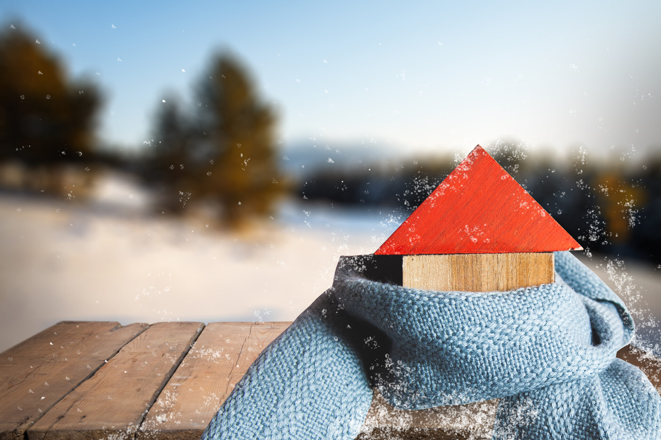 Possibilità di freddo e neve durante il periodo natalizio