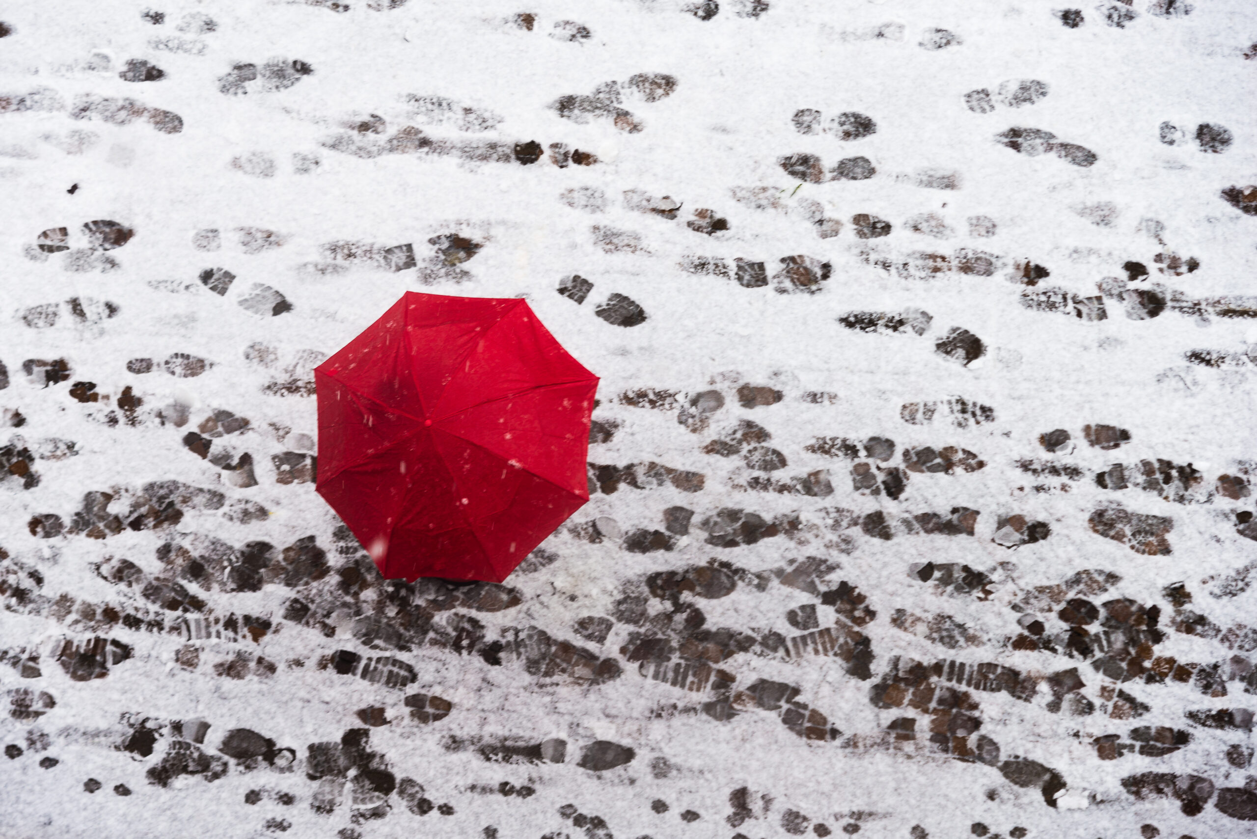 Tendenza meteo: confermata la forte rimonta anticiclonica dopo l’inverno