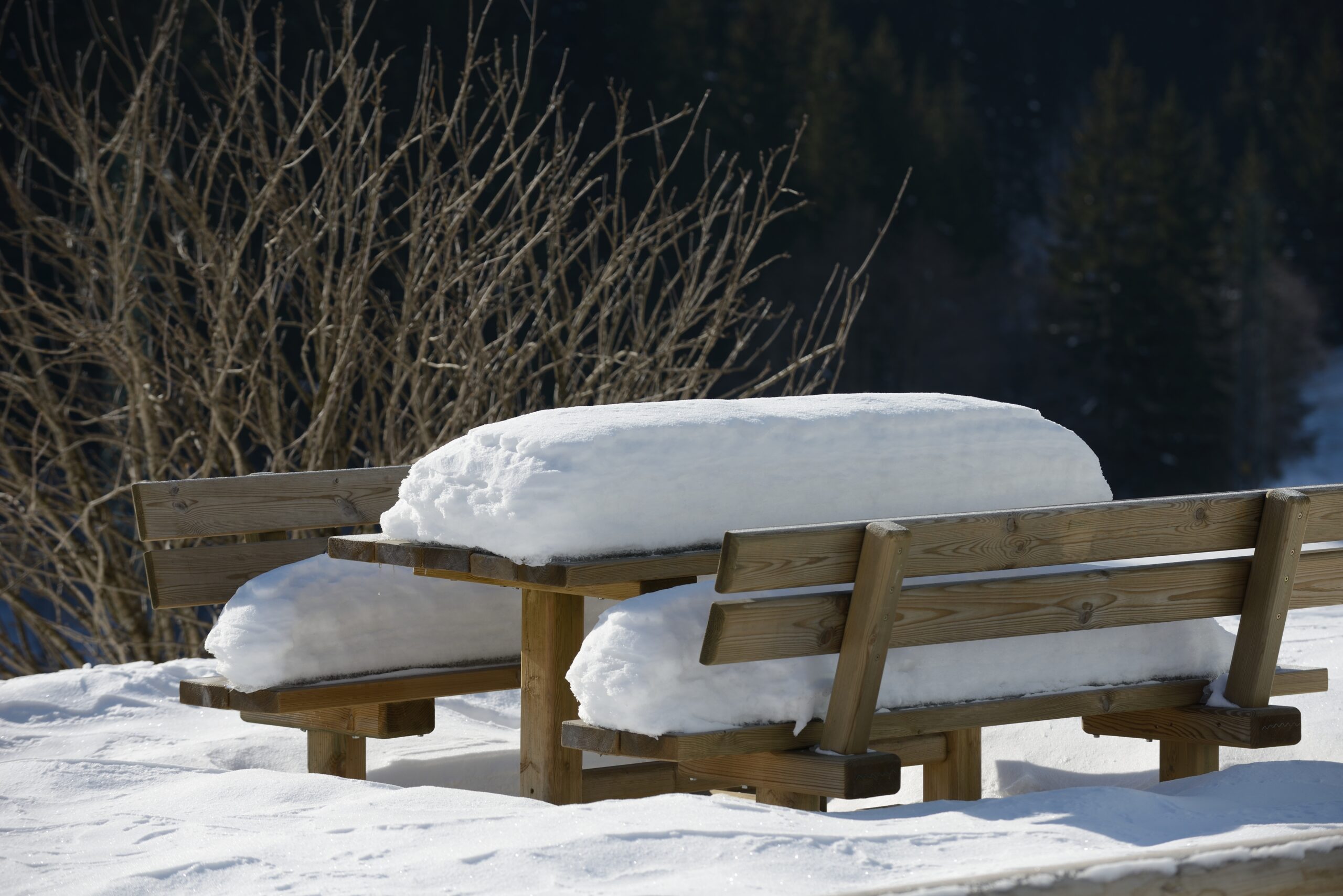 Cuscino freddo padano: l’alleato ideale per la neve in pianura