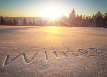 The inscription winter on snow in forest - Meteo: forte libeccio tra mercoledì 20 e venerdì 22, raffiche oltre 100 km/h