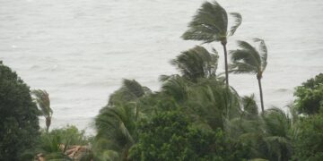 Pabuk typhoon, ocean sea shore, Thailand. Natural disaster, eyewall hurricane. Strong extreme cyclone wind sways palm trees. Tropical flooding rain season, heavy tropical storm weather, thunderstorm - DIRETTA METEO, News Meteo, Previsioni Meteo, Viaggi