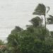 Pabuk typhoon, ocean sea shore, Thailand. Natural disaster, eyewall hurricane. Strong extreme cyclone wind sways palm trees. Tropical flooding rain season, heavy tropical storm weather, thunderstorm - Meteo: previsti venti di burrasca e mareggiate in settimana