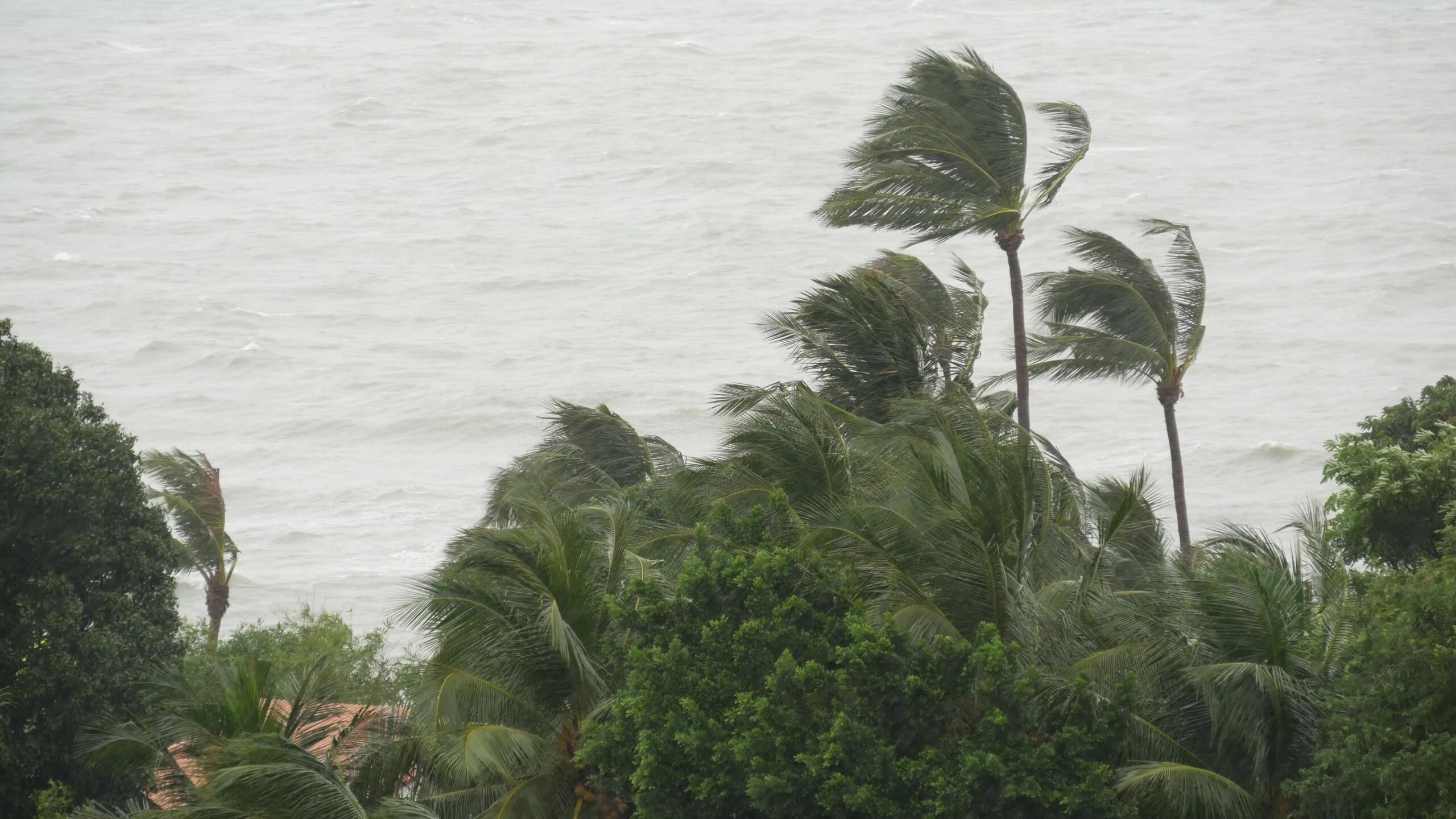 Tropicalizzazione del Mediterraneo: meteo e clima completamente cambiati