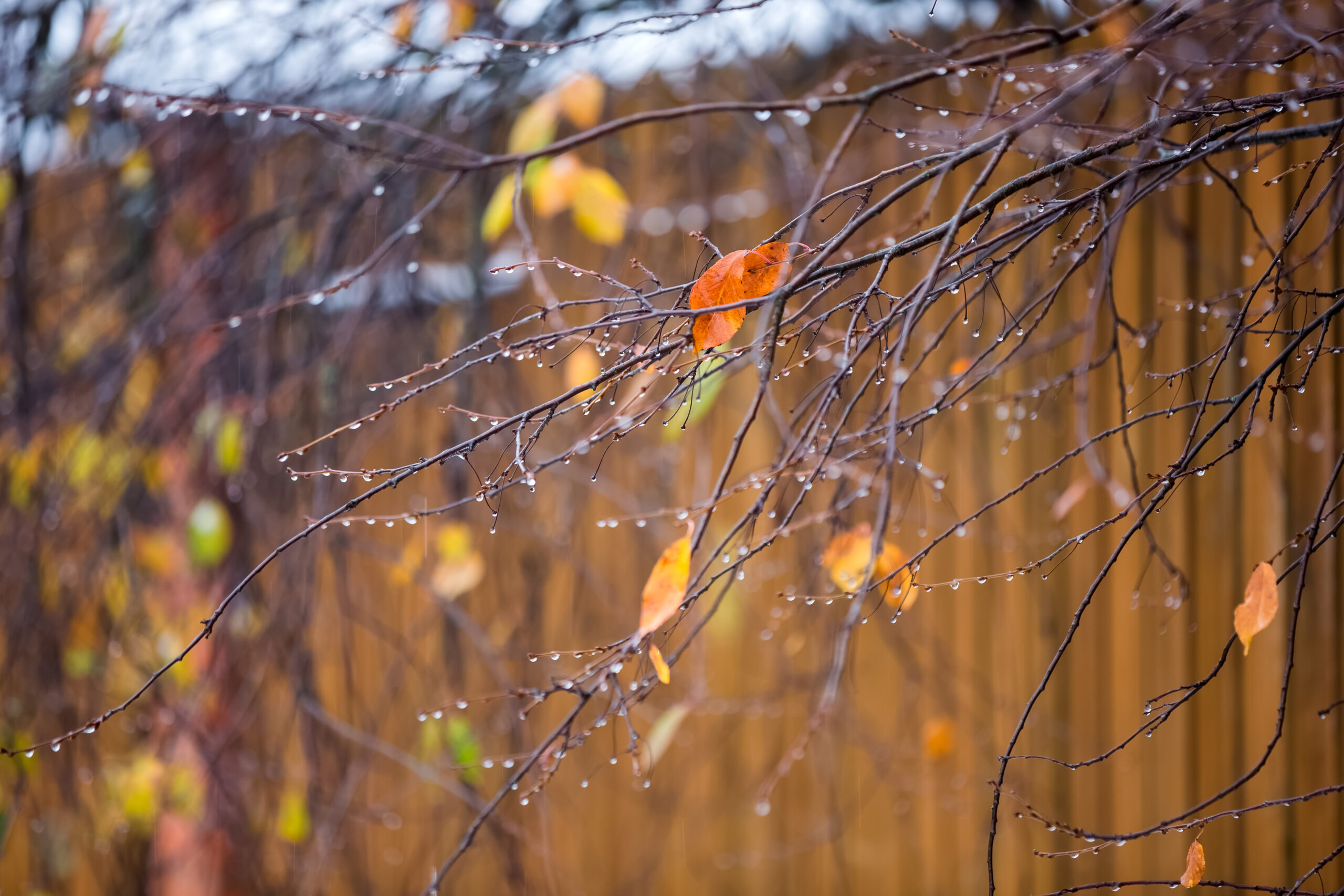 Meteo: fine novembre straordinaria, l’inverno arriva in anticipo