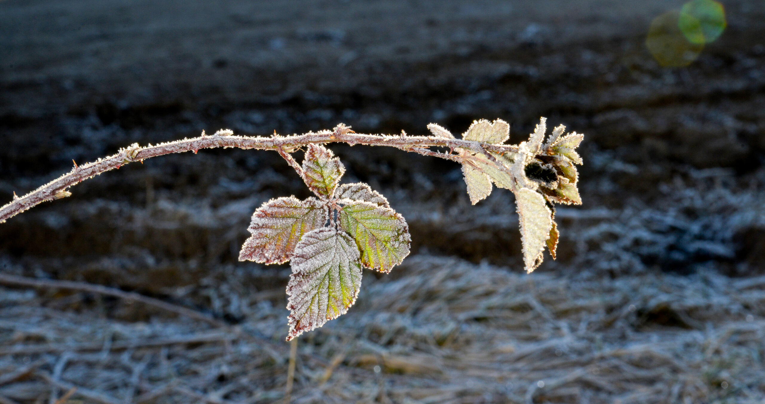 Meteo instabile, dal caldo alla brusca ondata di freddo