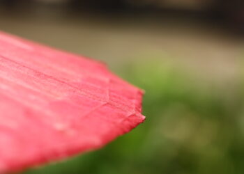 selective focus of red umbrella and bluy background - Previsioni meteo per l’inizio di Ottobre